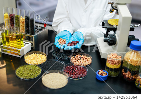Food scientist examines different beans and grains in a laboratory, using a microscope for quality testing and agricultural research. Food scientist examines different beans and grains in a laboratory, using a microscope for quality testing and agricultural research. 142951064