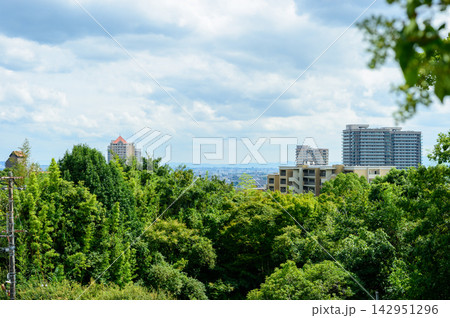 宝塚　遠景 142951296