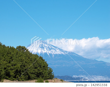 三保松原の海岸から富士山を望む 142951338