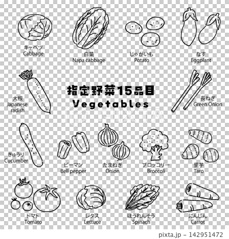 一套包含 15 種指定蔬菜的線條藝術向量插圖,包括大白菜、捲心菜、大蔥和洋蔥。 一套包含 15 種指定蔬菜的線條藝術向量插圖,包括大白菜、捲心菜、大蔥和洋蔥。 142951472