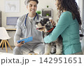Smiling vet talks with owner while pet schnauzer sits for examination in clinic 142951651