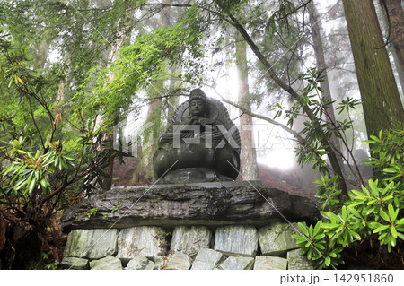 第十二番札所 摩廬山 正寿院 焼山寺 山門へ続く参道脇の大日如来石仏 142951860