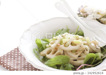レンコンと水菜のサラダ レンコンと水菜のサラダ 142952614