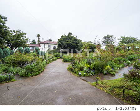 港の見える丘公園の雨 港の見える丘公園の雨 142953488