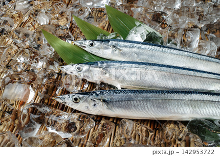 氷の上の秋刀魚のアップ 氷の上の秋刀魚のアップ 142953722