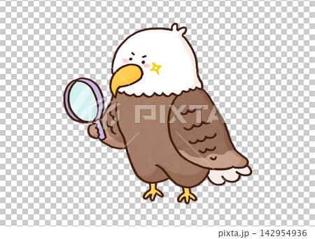 An eagle (eagle eye) is carefully examining something with a magnifying glass. An eagle (eagle eye) is carefully examining something with a magnifying glass. 142954936