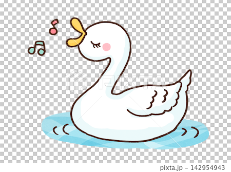 A swan gracefully singing while floating on the water (Swan song) A swan gracefully singing while floating on the water (Swan song) 142954943