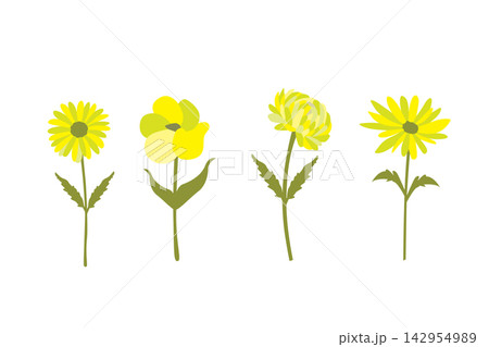 Cute spring flowers set. Hand drawn vector illustration in cartoon style. 142954989