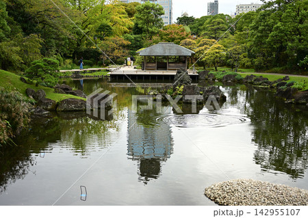 紅葉山庭園260919pm2:59-2 紅葉山庭園260919pm2:59-2 142955107