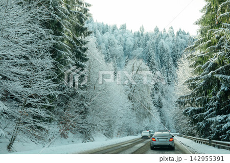 Winter. Cars drive along a snowy road surrounded by frosted pine trees Winter. Cars drive along a snowy road surrounded by frosted pine trees 142955391