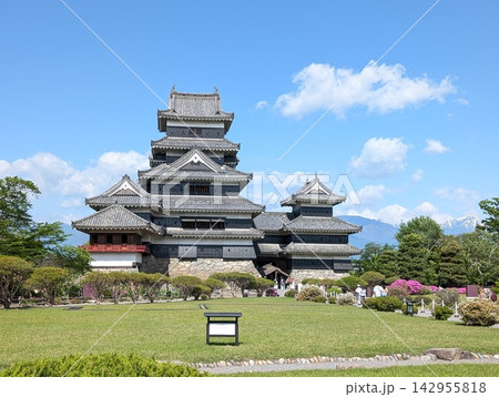 青空と新緑に彩られた国宝松本城 青空と新緑に彩られた国宝松本城 142955818