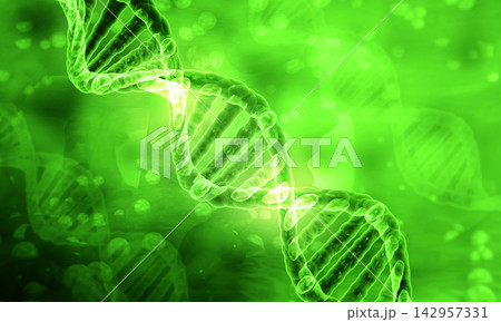 DNA structure 142957331