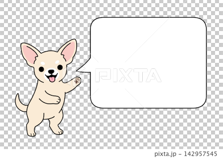 Chihuahua and speech bubble illustration (announcement/notice) Chihuahua and speech bubble illustration (announcement/notice) 142957545