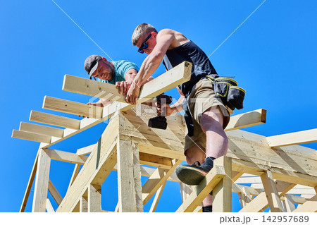 Rafter legs aligned by two workers as one worker drives screws with cordless drill into timber roof truss framework. 142957689