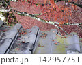 屋根とモミジ 142957751