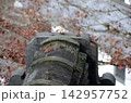 屋根とモミジ 142957752