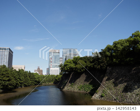皇居の堀端に広がる静かな水辺の風景 皇居の堀端に広がる静かな水辺の風景 142958143