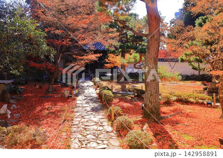 秋の鹿王院(京都市右京区)の風景 秋の鹿王院(京都市右京区)の風景 142958891