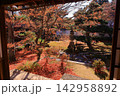 秋の鹿王院（京都市右京区）の風景 142958892
