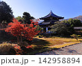 秋の鹿王院（京都市右京区）舎利殿紅葉風景 142958894