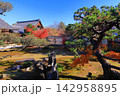 秋の鹿王院（京都市右京区）の風景 142958895