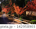 秋の鹿王院（京都市右京区）の風景 142958903