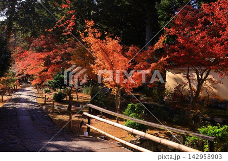 秋の鹿王院(京都市右京区)の風景 秋の鹿王院(京都市右京区)の風景 142958903