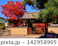 秋の鹿王院（京都市右京区）の風景 142958905