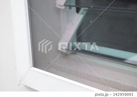 mosquito net wire screen on house window protection against insect mosquito net wire screen on house window protection against insect 142959091