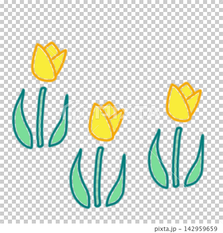 手描きのチューリップ3本 イエロー 段違い(中央低) 手描きのチューリップ3本 イエロー 段違い(中央低) 142959659