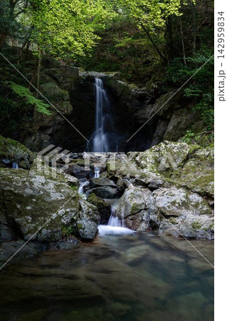 深い森の中に佇む静寂な滝と苔むした巨岩の間を流れる透明度の高い美しい渓流の大自然ののどかな風景 142959834