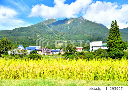 妙高杉ノ原スキー場周辺を望む(新潟県妙高市)【2026.9】 妙高杉ノ原スキー場周辺を望む(新潟県妙高市)【2026.9】 142959974
