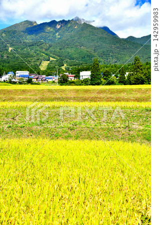 妙高杉ノ原スキー場周辺を望む(新潟県妙高市)【2026.9】 妙高杉ノ原スキー場周辺を望む(新潟県妙高市)【2026.9】 142959983