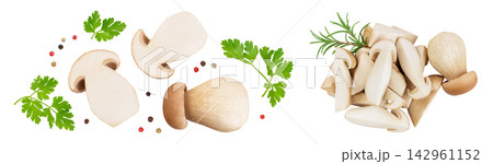 Fresh porcini cep mushroom isolated on white background. Top view. Flat lay. 142961152