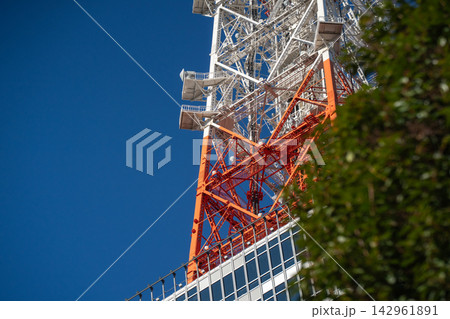 青空と緑とテレビ塔 青空と緑とテレビ塔 142961891