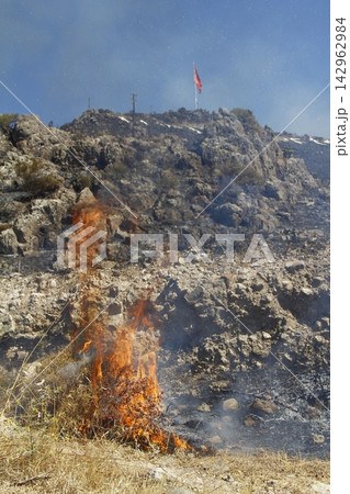 Red raging flame of fire burn in grass fields, forests and black and white smoke to sky. Big wildfire close-up. pollution in air concept. 142962984