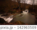Flowing river in the forest, long exposure 142963509