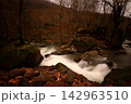 Flowing river in the forest, long exposure 142963510