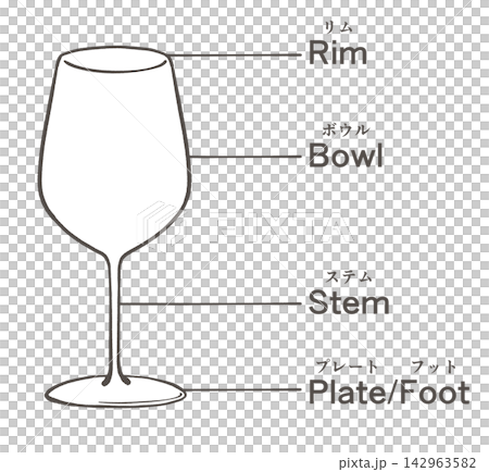 Illustration of the name of each part of a wine glass Illustration of the name of each part of a wine glass 142963582