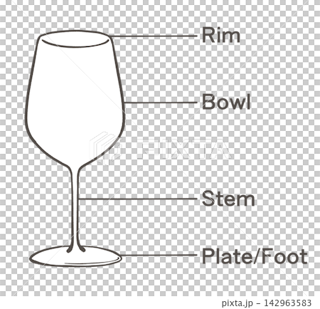 Illustration of the name of each part of a wine glass Illustration of the name of each part of a wine glass 142963583