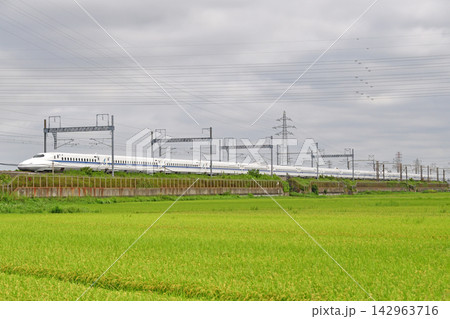 東海道新幹線 新横浜-小田原 JR東海 N700A系1000番台 G3編成(東京/大阪) のぞみ 東海道新幹線 新横浜-小田原 JR東海 N700A系1000番台 G3編成(東京/大阪) のぞみ 142963716