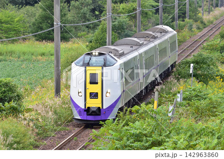 石勝線　南千歳－追分　JR北海道　キハ261系1000番台　ST-1117編成　とかち 142963860