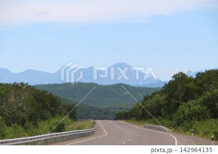 Winding road curves through lush green forest 142964135