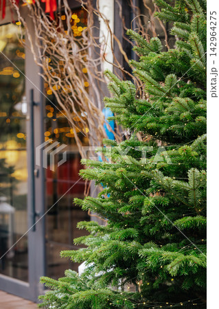 Christmas tree decorated with delicate lights outside of modern storefront with warm golden bokeh Christmas tree decorated with delicate lights outside of modern storefront with warm golden bokeh 142964275