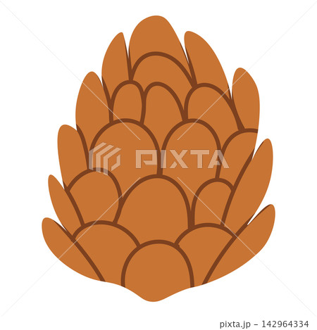 Brown pinecone vector illustration showing closed layered scales. Flat style Christmas botanical graphic element and winter forest decoration for holiday design, isolated on white background. 142964334
