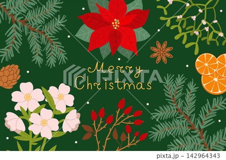 Christmas greeting background with handwritten Merry Christmas lettering surrounded by a red poinsettia, pink rose flowers, and pine branches. Flat vector winter holiday illustration on dark green. 142964343