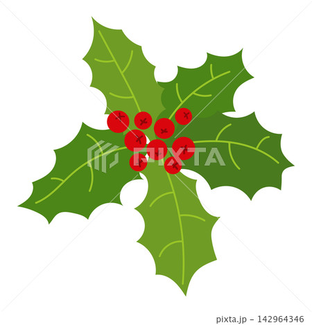 Christmas holly branch illustration with green spiky leaves and red berries cluster. Flat style winter holiday botanical graphic design element isolated on a clean white background. Christmas holly branch illustration with green spiky leaves and red berries cluster. Flat style winter holiday botanical graphic design element isolated on a clean white background. 142964346
