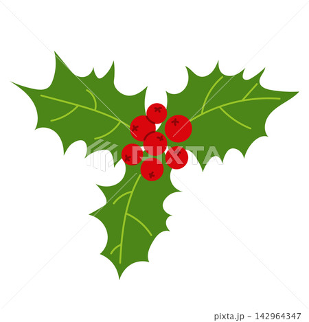 Vector illustration of a Christmas holly branch featuring three green spiky leaves and a cluster of red berries, isolated on a white background. Perfect for festive winter holiday designs. Vector illustration of a Christmas holly branch featuring three green spiky leaves and a cluster of red berries, isolated on a white background. Perfect for festive winter holiday designs. 142964347