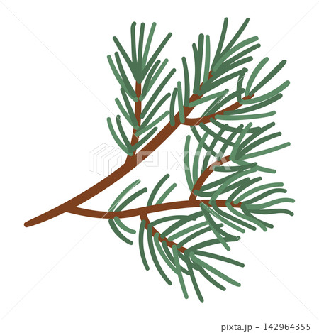 Vector illustration of a green pine branch with needles, isolated on a white background. Flat cartoon style evergreen tree twig graphic element for Christmas, winter holidays, and nature designs. 142964355