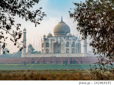 Amazing morning view at Taj Mahal from Mahtab Bagh garden. A little fog in Agra. February Amazing morning view at Taj Mahal from Mahtab Bagh garden. A little fog in Agra. February 142964545